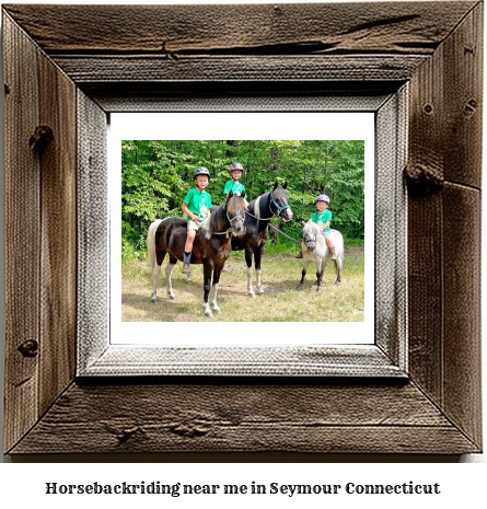 horseback riding near me in Seymour, Connecticut